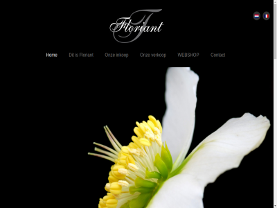 06 1 2 2026 22 23 3 4 4264 50336843 87 89 aanbod app arrangement assortiment at belangrijk benieuwd bent bestel bestel-app beteken bied biedt binn contact copyright direct eenvoud efficientie erg ervar floriant gerust gevarieerd grag groothandel haalbar handbereik hom hoogst info@floriant.eu inkop inkoper inspiratie inspirer ker klas kom kort kvk kwaliteit lang levert lijn mee minimal nem nieuw ontwikkeld onz per person pixel plant privacy/avg ruim twee ven vergrot verkop via vind voorwaard webshop wek wielstrat wij yourdentity