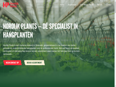 0183 14 1981 303 31.000 4254 5 8c aanbod aeschynanthus algemen assortiment begon bekend bekijk bestat bestrijd beteken betrouw biesocial bijban binn biologisch blijf blinkend bloei bouw bred constant contact continu dankzij de decoratiev duurzam e echt eig eigenar eindproduct energieopwek energiezuin enthousiast exclusiev extra flexibel focus focuss garander gebeurt gecontroleerd gespecialiseerd gewerkt gezond gloriosa grag groen hangplant hel herken hom hoogt hordijk hoya info@hordijkplants.nl ingericht inzet jaarrond jar jij jurian jurian@hordijkplants.nl karaktervoll kas kass klant kooikamp kwaliteit kweker laatst les leukst lever lez linkjes lipstickplant lj luchtig m modern nem nieuw omgev onderscheid ongever ontdek ontwikkel onz ooit opgebouwd opnem opvall plant positie potplantenkwekerij privacybeleid producer productontwikkel regelar rhipsalis richt ruim samengesteld schal scholier schon schoonmak scindapsus segment sierwaard sind sleeuwijk specialist specialiteit st stek sterk t teelt teeltproces toekomstgericht uitgegroeid uitstral uniek uniformiteit vacatures vakmanschap vanaf verfijnd vertrouw vinger volled voorman voorwaard voorzien waardor waarom war we websit weekendhulp wel werkwijz wet wij will zoek zorg zorgt zorgvuld