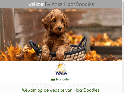 179906811b01 2027 83169407 aandacht all ank australian basis begin btw by contact contactformulier del drom filmpjes fok foto gemaakt geniet geregeld gev gezin groei haardoodles hel hiermee hobby hom hond hop huiselijk inschrijv instagram interes kanal komt krijg kvk labradoodles lat leesplezier leuk lev liefd mogelijk navigation nem nodig nummer ontwikkel onz pup puppy ruby rumi s sara sfer stabiel trot vertell verwacht via vol volg vrag vriend vriendelijk websit welkom wen werk wes wet wij