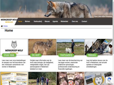 0374 06 09 11 2020 2026 22 3356 6166 7858th 8352 83976310 aanpak aanwez activiteit actuel agenda anna ballerswal bekijk belangrijk bescherm betekent bevorder bezoek bezoekadres biologie buitenland contact contact@werkgroepwolf.nl copyright diver doelstell doner download e e-mail eeserven eigenbelang evenement feitelijk financiel gratis help hom iban inclusief informatie jar jeugdwebsit jong ker kritisch kvk laatst led leefgebied ler les lespakket literatur mail natur nederland nieuw nieuwsbrief nl65 nummer onafhank ondersteun ontdek ontwikkel onz oploss organiseert per photo photography postadres praktisch privacy product professionel rabo regel samenlev schol stat stelloo tel updates vee veehouderij veelgesteld verklar verschijnt visie vol vrag vreedzam waaronder webwinkel welk werk werkgroep wolf wolv zoal zowel