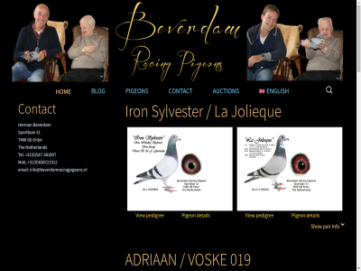 +31 -08 -2015 -381897 0 019 1 10.610 160 1st 2 2014 2015 28 3 30 31 333km 334 5 547 638721912 7468 9 about adriaan afdel asterix auction august best beverdam bird blog cak cc3 championship cherry chines competition contact content detail email english enough enter first for gb geerinckx god herman hom info info@beverdamracingpigeons.nl iron jolieque km la latest loft louis marietj memeber mob national netherland new niergnies not november npo on pair pedigree pigeon rac racing radious s search show simplified skip spok sportlan sylvester tel the to total view vosk whenever wit youngbird