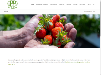 1 2 2022 3 4 aandacht aangeslot aardbei adres af archiev beloft benieuwd bevindt bewust bio biobrother biologisch bodem brother certificer concessies contact copyright daarbij duurzam eerlijk eig erkend eugenia f f-erkend februari fossa geschiedt geteeld gev gewass gezond grag groei groeiproces groent grond grondstoff h hel het hoger hom invester jong kennis kwalitatiev kwaliteit lat les liefd mak natur nieuw niveau onz overtu pagina person product proef professionel resultat s sig smaakmaker smaakvoll sterk tel telersverening tempo till trot uitsluit vacatures vanuit verhal verkop vertrouwd via voedingsbodem volgend voorwaard vorig we welig zat zie zorg