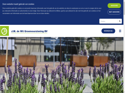 12b 2394 aangelegd aanleg actie actueel adres advertenties advies akkoord alert analyser av bebouwd bedrijf bedrijfsruimt bedrijfsterrein bedrijv belastingdienst bent besmet betekent bijvoorbeeld binn blader blijf bom boomeigenar boomspecialist boomverzorg boomverzorger bovenan btw buit buitenruimt busines consumentenvoorwaard contact cookies copyright creatief daarmee daarnaast daarom daarvan derd dodelijk dorpskern draagt eikenprocessierup erkend ervar extra fijn forest gebied gebruik gebruikt gef gel gemeent geniet gespecialiseerd gev gevar gevoel gezond groen groenestein groenstrok groenvoorzien hand hazerswoud hazerswoude-rijndijk hierin hiernaast hovenier iep iepbom iepziekt informatie inhoud ivn ivn-erk j.m jarenlang jou juist kamer kennis kever klik kom koophandel krijgt kund lang lat legg lez maakt materieel mogelijk mooi nl8019.02.186.b01 nodig onderhoud onderhoudt ondernem onkruidbestrijd ontstat ontwerp open overal particulier pencilblock pencilpoint plantmethod plek plicht projectontwikkelar provincies realiser regelmat relevant rijndijk ruimt schimmel seizoenstip situatie specialistisch stan stat stedelijk tiny to tuin typ uitreksel uitstral vakkund veilig verklar veroorzaakt verricht verschill verspreid verzamel verzamelt verzorg verzorgd verzorgt volgen voorwaard vorm war waterschapp webdesign websit weg wens werk wij wit woningbouwveren zer ziekt zien zomer zorg zorgplicht