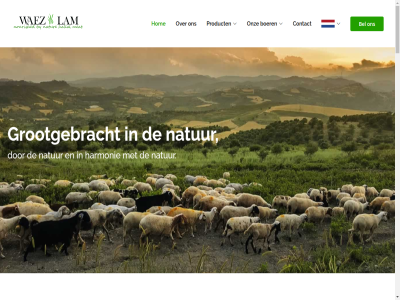 +31 16 20 36 6 82 agro agro-fod all bedrijf bel boer by contact copyright darm designed document email fod gespecialiseerd halal handig hom info@waezenlam.com ingewand lam lammer lamsvles link maandelijk meryam moeder natur natuurdarm nieuwsbrief onz policy privacy product ready reserved right schap schrijf sector servic telefon term visitekaartj waez wij
