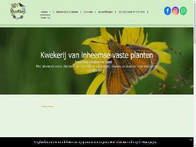 06 22278724 55 assortiment beher best bestell bij biodiver contact cookies dronryp ervar gebruik gev help hom info@plantmark.frl informatie inhem insect kwek kwekerij nem onderhoud onz plant plantmark plantmark.frl privacypagina puoldyk soort tuin vast vindt vlinder voedsel voortplant vrag we websit wild