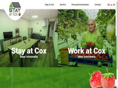2025 at contact cox disclaimer hom huisvest informatie mindworkz ontwikkeld personel policy privacy servic stay websit work