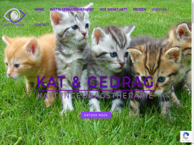 1 125 195 2 2022 30 45 5 aanleg aanvull achterhal adviesplan adviez af afsprak afsprek agressie allereerst alvast bekend bekijk bell bent bereid best betekent beter betreft bezoek biedt bijna bijvoorbeeld binn boek bronn ca consult contact daarbij daardor daarna daarom denk diagnos direct doet doornem duidelijk dur duurt e e-mail echter eenvoud eenvoudig/preventief eig eigenar elk ervar etc extra fijn filmpjes ga gat gedrag gedragstherapeut gedragstherapie gehoud gekek geleerd genetica gerust gesprek gev haalbar hel helemal hierbij hieronder hierop hom houdt huis huisbezoek inhoud inhoudt instek kat kattenbak kattengedrag kattengedragstherapie kijk klik kom kort kost kunt langer leerprincipes leert licham maand mail mak manier mat maximal mens minut mocht moet moment momentel motivaties nazorg nem nodig omgev onderl onderzoek ongewenst ontdek ontstan onzeker oog oorzak oplevert oploss opneemt optie overleg overweegt past per person plass plassen/poepen policy populair praktisch prijz privacy prober problem raadzam rasgebond red regelmat rol sam socialisatie som soortgenot spel sprek sproei stand stell sterkt studie stur telefonisch ten terecht terug tevred thuis tijd tijden tijdstip tip toezend tuss uiter uiteraard uitgebreid uitleg uitlegg uitzoek uur vak val verbond verergert verminder verreken verslag verslaglegg verton vertoond verwarr via vind voer voldoend volg volgt volstat vor vorm vrag vragenlijst waarbij waarom wachttijd water we wek wel welk werk werkt wet wetenschapp wij will zegg zelf zit zodat zoek zull