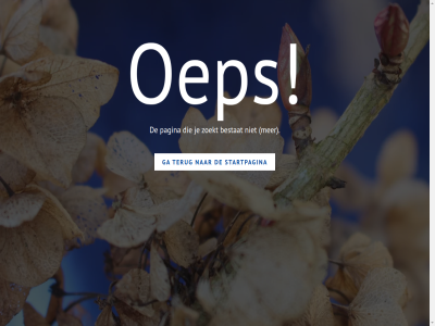 404 bestat ga gevond oep pagina startpagina terug zoekt