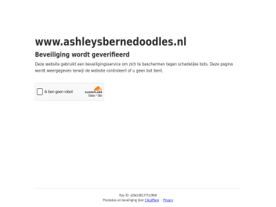 a28e2d813f512068 bent bescherm beveil beveiligingsservic bot cloudflar controleert even gebruikt geduld geverifieerd id pagina prestaties privacy ray schadelijk terwijl websit weergegev www.ashleysbernedoodles.nl