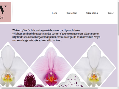 bied bred bron compact contact foto goed hom hoogwaard houdbar keus lev mail meer-takker natur nl orchid orchideeen plant prachtig s schoonheid selectie takker toegewijd uitgebreid verhal video vleugj vorm vw welkom wij zer zorg zwar