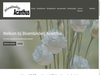 -2885482 058 13.00 1998 2010 26 5 8932 99 aanbied aangeslot aankled aansluit abonnement acanthus achter actief advies af afscheid algemen all allermooist ander augustus bedrijf begraafplat bel/email bestat bestel besteld bestell bevindt bewijz bezegeld bezoek bezorg bezorgdienst bied blijf bloem bloembinderij bloemenbranch bloemenpracht bloemenwinkel bloemist bloemwerk boeket bovenan bruidsbloem bruidsboeket bundel by centrum collega complet contact creativiteit daarbuit daarnaast daarom dag deskund dierbar doel doet eer eig eindelijk elk enthousiast ervar even exclusiev facebok familie geholp geleg gemak geniet geregeld gerust gev goed graf grafverzorg grag grav hel helemal helpt het hoogt hoogwaard huis humor ieder info@bloembinderijacanthus.nl ja-woord janet jar jullie kan klantvriend kleur kom kreg kunt kwaliteit laatst lang lat leeuward les leuk lev lever liefd liefdesgevoel ligt lik link maakt maandag mak manier mogelijk mooi mooist natur nc nederland nem net omgev onlin ontvang onz openingstijd opgericht overal overled passend perfect person plaatj postma powered prachtig prijs privacy puntj rouwbloem rouwbloemwerk rouwstuk rouwwerk sam scherp schoonheid schran seizoen servic sind sommig soort special specialist sprookj stan stat stijlvol strev team tek telken terug terugkomt thuis troost trouwdag uitstral uur vak vakantiesluit vakkund vakmanschap vandag veelzijd vel verdriet verhal verlies verlor verrass verwaarloosd verzorgd vestig via vind voorwaard voorzien vorm waardig waarin wanner war we webshop websit wek welkom wens wer werk wet wij winkel woord wy wy-bloemist wybloemist zak zeker zie zodat zorg