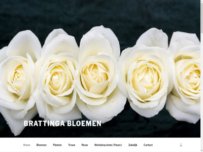 00 0162 06 09 13 13.00 14 14.00 15 15.30 18 18.00 24 30 312 446 5101be 53 80 9 9.00 97 adres afsprak afsprek alic alice@brattingabloemen.nl allen ander bened bestell bloem bloemwerk boeket brattinga breng contact dinsdag donderdag dong e e-mail emotie facebok ga ger grag hom inhoud lent maandag mail majellastrat mens ondersteund openingstijd pas plant pot raakt rouw scroll specialist telefonisch trouw uitdag vaz vooraf vrijdag welkom woensdag wordpres workshop zakelijk zaterdag