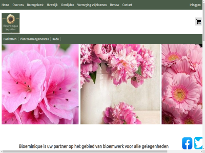 -657201 00 0187 09 12 13 17 20 24 25 27 30 3244 50 95 all arrangement az bekijk bested bezorgdienst blauw blijk bloe bloem bloeminique bloemwerk boeket bont boy buit contact dinsdag donderdag ee fantasie gebied geboorteboeket gef geleg geslot geweld girl hom huwelijk info@bloeminique.nl inlogg kado kadobon keuz kleur leg m maandag mail medelev moed moederdag monique mooi mooist nieuw nieuwe-tong onz oranj orchidee overlijd partner plantenarrangement plukboeket prijs privacy review romantisch roz s sierpot snijbloem sympathie tint tong vanaf verrassingsb verzorg volgen voorwaard vrag vrijdag warm webshop welkom winkelwag woensdag zaterdag zondag zuiddijk