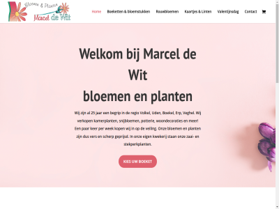 -273382 0413 09.00 10.00 14.00 16072582 18.00 25 4b 5408 algemen begrip bloem bloemstuk boekel boeket btw contact droogbloem eig erp geprijsd hogerandweg hom info@m-dewit.nl informatie jar kaartjes kamerplant ker kies kop kvk kwekerij lint maandag marcel nl001766552b84 onz openingstijd par per plant potterie privacyverklar regio rouwbloem scherp snijbloem stan stekperkplant t/m uden uur valentijnsdag veghel veiling ver verkop volg volkel voorwaard wek welkom wij winkel wit woondecoraties zaai zaterdag zoek zondag