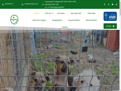 00 0616481737 1 10 14 16 20 2025 2026 26 5 8 adopter adoptie adoptiedier afhank all anbi april aut bab belangelos bent bestaand bestur beter bied bijdrag binnenkort blijv brengt buitenland categorie categorieen charlie comp comp-it-aut contact d.m.v dag design dier donateur donatie donaties doneerbutton doner eenmal eigen elk extra feestdag geadopteerd gecastreerd gef geregistreerd geslot grag hart help herroepingsrecht hieronder hom hond hulp ieder info info@straypaws.nl informatie inschrijv inzet it jar jennifer jij jouw kan kat kater klik kun kunt les leven liefdevol linda locatie maand maandag mak margot medisch mee mei nagedachtenis nederland nem nieuw nieuwsbrief nieuwsgier non non-profit o.a officieel onderdak onderhoud ontdek onz opvang organisatie ouder overlev paw poes privacyverklar profit red reu roemenie sam samson schrijft stan status stell stem steun stichting straathond strat stray succesverhal sylvie t/m team tef ter thuis toekomst vast vecht veilig verantwoord verschil volled vrag vrijdag vrijwilliger we websit welkom werkt werkzam wij word zaterdag zien zoek zon zorg