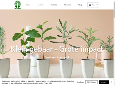 +31 0 00 12.00 2024 47300 85 9.00 aandacht accepter akkoord algemen allemal assortiment b.v babybom beetj bel beleid best bestel betrok bied bijpass blijvend bloeit blog bloompost.nl bom bomenassortiment boompj boompjes bovendien brievenbus cadeau contact cookies dergelijk duurzam e e-flora eig elk email ermee ervar evenement flora format ga gat gebar gebruik geeft gef geleg geschenk gev gezond gift goed gratis groeit groen groener grondstoff grot hernieuw hom impact indruk info@treemore.eu instell interes kijkj klantenservic klein laptoptas letter liefd ma ma-vrij maatwerk mak manier men mens mogelijk mor nam natur nem nieuwsbrief nl nodig omgat omgev omvat onz overal pass perfect plant plantje.nl privacy privacybeleid producer s sam sampl schrijf snel soort sted stur symboliek toekomst ton treemor tres uniek uur veelzijd verjaardag verkop verschill vertell via vind voorwaard vrij waardevoller waarom we websit weiger wereld zaadjes zakelijk zien zorg zorgt zuurstof