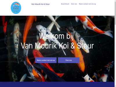 -29273138 00 06 10 16 17 3 6561 90338995 afsprak allen assortiment bedrijf bericht bied btw btw-nummer contact contactformulier dinsdag donderdag drom eig email feit geslot goed groesbek jar koi kvk kvk-nummer maandag margrietstrat mourik nam nem netherland nl865282754b01 nummer openingstijd passie person product respect servic steur telefoonnummer uitgangspunt vak vanmourikkoiensteur@gmail.com viss vrijdag welkom wij woensdag ws zaterdag zondag