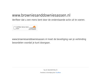 86eb0398f930caf5 actie bent beoordel beveil cloudflar doorgan even geduld id kunt men onderstaand prestaties ray verbind verifieer voer voordat www.browniesanddowniesassen.nl