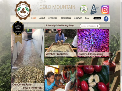 +1 2020 314 503 5658 a about advic all and availabl by coffee coffes consult contact d.c farm farming finca for gold group grower hom idealista impact info@goldmountaincoffeegrowers.com llc matagalpa member mor mountain nicaragua offer our process producer quality reserved right roaster social specialty usa washington