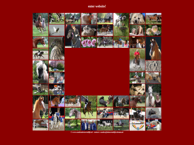 beeld contact enter nieuwendijk sandra sandra@nieuwendijk.demon.nl tekst websit www.sandranieuwendijk.nl