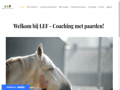 agenda by coaching contact ervar fabienn freestyl hom instructeur inzicht jezelf lef maatjes paard powered welkom