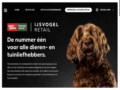 1 1.600 16 175 18.000 2 200 2024 2100 29 37.000 4 4000 6 aanstur acht advies adviesvaard adviseert adviser afdel all ambities april artikel assistent baasjes ban bazoeki bbl bbl-medewerker bedrijfsleider begeleid bekijk belangrijk belev best bestell bezit bied biedt big bijna binn blij boerenbond bol bol-stagiaires buitenlev bundel campus central chauffeur cluster clusterleider collega collegadag complet contact content cookieverklar daarnaast dagelijk dak dankzij del denkt deskund dier dierenexpert dierenliefhebber dierenlot dierenwinkel disclaimer distributiecentrum doe doel duurzam echt een eerst effect eig elk elkar enjoycleaningup enthousiast ervor expert extra fantastisch flagshipstor floris fran ga gan gat gef gekocht geleverd gelukk geniet geval gewaardeerd geweld gezicht gift gobel goed grot hag happy hel helemal help hetzelfd hoed hofsted hom homepag hond hondenbescherm hondenwelzijn huisdier ieder ijsvogel ingericht ingezet initiatiev jar jij john jou jouw juist juli juni juridisch kans kat kenn kennis ker keuzes kiest kinder klant klanttevred kom konijn konink kort kracht krijg krijgt kunt laatst lat leestijd leiding leidinggev ler leuk lever logisch logistiek lop m maart mag magazijn mak medewerker meerder mei mens meter minut mogelijk mooi n national natur nederland neemt nieuw nummer omzet onderdel onmis ontvangt ontwikkel onz opent opvangcentrum ouder overgenom pareltjes passie perfect pet petfod plac plek prettig prin privacy privacyverklar procent proces product reachtruckcertificat reachtruckchauffeur retail rond s sam samenwerk servic skip smil snel sollicitant solliciter specialisaties stag stagiaires stan stichting stijgt strev talent team the tijd to trimmer trimsalon tuin tuincentrum tuinliefhebber tuinproduct uitdag uitlev utrecht vacatures vanaf vandag veilig verbeter vergrot verhuisdieren.nl verkoel verkop verschill verwerkt verzorg vet vierkant vind volled volop voorrad vorig waarborg waarin wacht wall war we webshop wek welk werd werk we