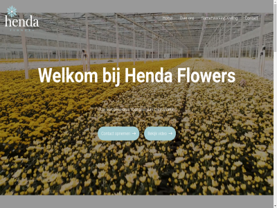 +31 11 11a 2021 2026 5305 54291746 6 aanpak aanzien aarzel adres art assortiment bekijk beslan bestrijd bijzonder binn biologisch blijkt bloem booster brand breid bron certificeringsnorm chrysant contact cooperatie dankzij doorgemaakt drie duurzam een elk ernar europa europes faciliteit flower gap garander gemiddeld gevarieerd groei hectar hel help henda hog hom indrukwek info@hendaflowers.nl innovatie jar kijk klar kreling kwaliteit kwek kwekerij lever mps nalev nauw nem nieuwst ontwerp ontwikkel onz opnem passie perfectie prachtig premium retailer sam samenkom samenwerk social soort specifiek stan stat state-of-the-art strev strikt td technologieen tel the toewijd topkwaliteit troschrysant trot uilkerweg uitgerust ultramodern vaandel verwelkom video vooruitstrev voorzien vrag waarbij war we welkom wens werk wij zes zoal zuilichem