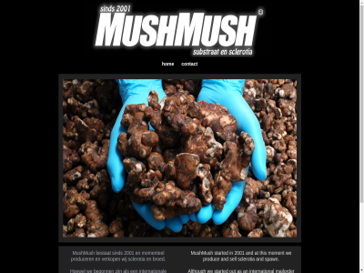 2001 although an and and/or as at begonn bestat binn broed company contact copyright do en/of groothandel hoewel hom individual international lever mailorder moment momentel mushmush mushrom nederland netherland not now only opereert out paddenstoel particulier postorder produc producer sclerotia sell sind spawn started the this to uitsluit verkop we wholesal wij within