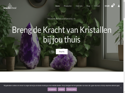 0 00 01 18 2026 21 347 39 50 57 59 6 7 71 75 80 92465242 95 99 9cm aan/uit accepter afgeleverd afwijz agat algemen allen beschik bestel bestemm betal binn blauw blog breng btw carlos combipakket contact creditcard deco dekker dubbel e14 edelsteenverlicht edelsten eenvoud elektra energie enkel fitting flower ga gat gekleurd gelov geweld gratis hart himalaya hoger hom hoogwaard houdt huis ideal incl inhoud interieur invloed inzet jennifer jou jouw juan juist kabel kamer klant kracht krachtkristal.nl kristal kristall kunt kvk kwaliteit lamp lampj lat les level lez lif lon lotus mens merel missie natur nieuw niveau nl866058941b01 nr.01 ontdek onz pass past paypal policy positiev praktisch privacy product retour rond ruimt schakelar seleniet servic shop snoer st stekkerlampj sten sterrenbeeld theelichthouder thuis till uitstek vanaf veilig verlicht verschill verzend via vind voorwaard vull waxinehouder waxinelichthouder waxinelichtjeshouder we welk welkom welzijn werkdag wet will wit zorg zoutlamp zoutsten