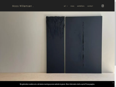 art best contact cookies ervar exhibition gebruik gev informatie mooswillemsen.art mos onz privacypagina vindt we websit willems