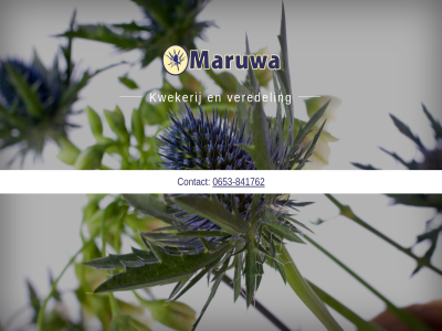 -841762 0653 contact kwekerij maruwa veredel