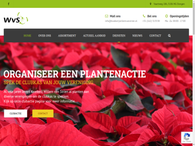 +31 -12 -17 00 08 1 10 11 12 15 16 162 17 18 186 2 2017 2018 23 24 3 313538 4 5 5106 6 7 8 9 aanbod actie actueel ageratum ajuga all alternanthera apr april assortiment bak bedoel begonia bekijk bel bezorgservic boliviensis bred by clubactie clubkas complet contact created dienst dinsdag diver donderdag dong ervar europaplein evenement facebok feb fraaier gan gegan geinterviewd geleverd gemaakt gemeent geranium geslot gev grep grot handelskweker handelskwekerij hel hierin hom info@kwekerijwillemvanstrien.nl informatie jaarrond jalem.nl jar jouw kerststerr keuz kijk kwekerij laatst lang lever levert logo ma maandag magazijn mail margriet meest mei mogelijk navigatie ng nieuw onderhoud onlin onz openingstijd organiser pagina partner passend perkplant plant plantenactie plantenbak reserved right ruim samenwerk search span spek start strien stuk tijd tijden tuberhybrida tuin tuinderij tuinidee uiter vaartweg vandag vel ver veren vereng verkocht verzorg voorkom voorrad voorstel vrag vrijdag vrolijk vve we websit wer werktijd wij willem wilt woensdag za zaterdag zit zondag zorg