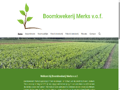 2013 2026 aanbod aanslan aanvull adviser allen ambitieus assortiment basis bedrijf begint benieuwd bent beschik betrouw blikvanger bloei boomkwekerij boomkwekerijmerk boomkwekerijmerks.nl brabant bred breugel collega collega-kweker combinatie compact conifer constant contact daarbuit dankzij denk direct duidelijk duurzam eenvoud ervar foto fris ga garander gelov gerust gespecialiseerd gevestigd geworteld gezond goed grag groei groen haagplant handelar hart heester hel hom hoofdinhoud hovenier jarenlang jong kennis kiest klant klar kluit kwaliteit kwek kweker kwekerij laurier lever leveringszeker levert mee merk mogelijk mooi nederland nem nieuw noord noord-brabant ogen ondersnijd ontwikkel onz opricht passie person plant plezier prachtig provincie realiser rondstek s sind solitair son stan stat sterk taxus teelt toewijd tuin uitgegroeid v.o.f vakmanschap verplant vertrouw video vind voll voornam voorop voorraadlijst vrag vruchtbar waarop war weg welkom wet wij wilt zandgrond zorg zorgt zorgvuld