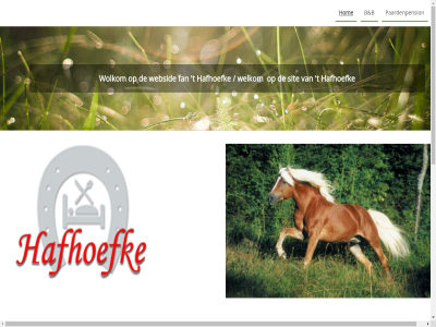 -28645546 -38221955 -795048 0511 06 10 allemawei b contact fan hafhoefk hom info@hafhoefke.nl jansma jout marijk oudwoud paardenpension sit strampel t websid welkom wolkom