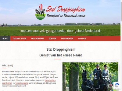 -555 06 10 100 20 2026 25 3 863 87 9121cc aalsum aalzum aandacht aangespann activiteit all ander antiek authentiek bedrijf bent beschikt betrouw bijzonder binn bruidspar contact contactgegeven content dag direct doe doeleind droppinghiem droppingwei echt een eenvoud eig elk ervar evenement exclusief exclusiev familie feest fraai fries gast gebied gedeelt gehel geleg gemaakt geniet gered geschikt getrok getrouwd gezet going groep hog hom hoogtepunt hur info@staldroppinghiem.nl jar jubileum jullie kegel kelnerrac ker kiez kleur koet koets kunt land lang les lev locatie maakt mak manier meerder menig menn mocht mooi mooist naast nageprat nam nederland noord ongever onlin ontworp onz open organiser originel paard paardentram partij past person prachtig professional prominent recreatie rijd ringstek rit rolstoel romantisch servic sfeervol sind skip sport sprookj stal stat tel tevred to tocht tram trouwdag trouwkoet trouwkoets uniek vaandel vel verder verdient verschijn vervoer verzekerd vier voll vraagt vriendelijk waaronder wagen war websit wij willekeur wilt zeil