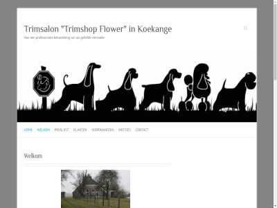 15 1997 2026 27 aangeslot abhb adviser begroet behandel bezit contact copyright daarnaast dibevo dwarsdijk eigenares erkend flower gebruik gediplomeerd geliefd gevestigd grag grot hartelijk hobby hom hond hondentrimster hop hor hulp jar kamer kat klant koekang koekanger koophandel kwaliteit mak meijbom mog mogelijk nam oegelien onz prettig prijslijst prober professionel ruim stat them thema trimm trimsalon trimshop trot vakdiploma verzorgingsproduct viervoeter voorop voorwaard we websit weetjes welkom werk wij wordpres zoek zowel