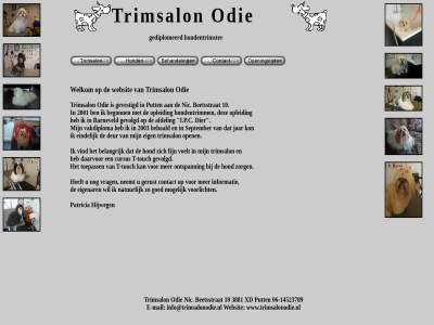 10 2001 2003 afdel barneveld beetsstrat begonn behaald belangrijk contact cursus daarvor deur dier eig eigenar eindelijk fijn gediplomeerd gerust gevestigd gevolgd goed hijweg hond hondentrimm hondentrimster i.p.c informatie jar mogelijk natur neemt nic odie ontspann open opleid patricia put september t t-touch toepass touch trimsalon vakdiploma vind voelt voorlicht vrag websit welkom zorg