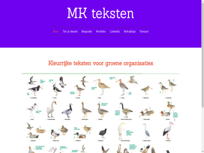 2024 biografie contact dienst groen kleurrijk linkedin mk mktekst organisaties portfolio schrijftip start tekst