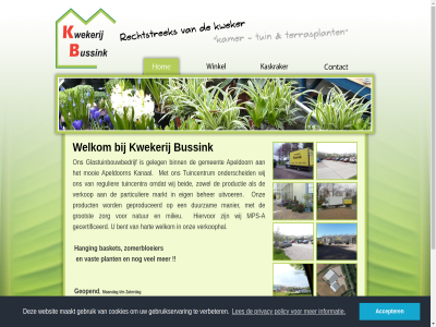 a accepter apeldoorn basket beher beid bent binn bussink contactpagina cookies copyright duurzam eig gebruik gebruikservar gecertificeerd gelderland geleg gemeent geopend geproduceerd glastuinbouwbedrijf grag grootst hanging hart hiervor informatie it kanal klarenbek kwekerij les lier maakt maandag manier markt milieu mooi mps mps-a natur onderscheid onz openingstijd particulier plant policy privacy product productie regulier resiz t/m team tuincentra tuincentrum uitvoer vast verbeter verkoophal verkop websit welkom wij zaterdag zie zien zomerbloeier zorg zowel