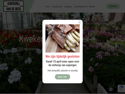 10 amaryliss amaryllis amarylliss april asperges basket bek contact geslot hanging info kwekerij open previous seizoen thuis tijdelijk vanaf verkop volgend voorbij we wer winkel zomerbloeier zomerplant