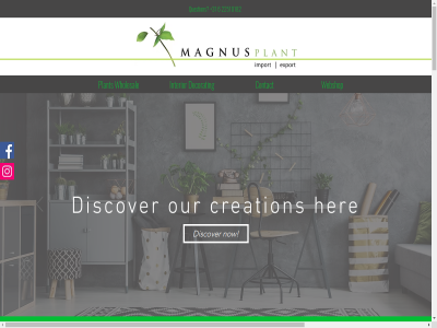 +31 -99 097 1431 2019 22510182 313 34274015 6 aalsmer addres all b.v b7 btw contact creation data decor decorat discover e flexibility gb her hom interior kvk legmeerdijk liv location magnus magnusplant mor netherland nl8179.81.597.b01 nmr noord now offer our own pdg@magnusplant.nl photos plant pric quality question read reserved right send servic sluis stock t the vba visit webshop wholesal