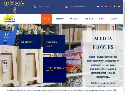 +31 -2026 174 2018 2023 2675 2js 333 638 638720 640 720 999 adres affair assortiment aurora b.v blog bootcamp bred combinatie contact cookies current decoratie doorgat draait eng ermee ervor exporteert fax florist flower gan gebruik goed gr griekenland groothandel groter hog hom honselersdijk industry info@auroraflowers.nl information inspir instemt languag lever lv middelgrot mogelijk monthly ne netherland ok on onz po portugal potplant prijs/kwaliteit privacy producent registrer ro roemenie serviceniveau snijbloem soepel sp spanj statement stay team tel the uitgangsmaterial vanuit venus verhoud verpak we webshop websit werkwijz wij winkelier zorg
