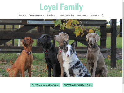 2011 beschik blog contact direct family kennel loyal onz pup shop vakantieopvang