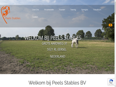 +31 00316 019 16 17 19 2021 27 29 3 31 35x65 51 511 5521 6 63569930 79 83 90 97 aanzien aardweg aarzel accommodatie accomodatie all b.v behoort beid bel beschik besprek best betreft bezit bosrijk box boy btw buitenpist bv concour contact copyright dag diver driemal e e-mail eb eersel en/of facebok faciliteit fen fotoalbum gan gebied gehel gesprek gev grot hal hierover hoevel hoogt houd huis ils info@peelsstables.nl informatie instagram instructiediploma jar k.v.k kom komt kunt leeftijd lesgev less locatie loopbox mail mogelijk mol nederland nem niveau niveaus nl855297116b01 nummer onderbreng onderhoud onz opnem optimal orun paard paardenstall paddock parcour pel per privacyverklar prober qua rl ruim s springles springless stables stal stall stan stapmol telefon terecht teven training trainingsdoeleind twee uitrijmog verkop verwacht vloedbodem voornam vorder we wedstrijd weid weidegang welkom wij will zoek zorg zull