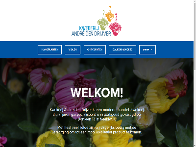 06 13 2024 2671 54337132 andr balkonhanger bell bezig bioplug blauw bron categorieen chrysant contact contactinformatie contactpagina dagelijk den dortlan drijver gespecialiseerd gevestigd handelskwekerij hangplant hel jar kom kwalitatief kwekerij liefd ln million mix modern mooi naaldwijk nevenactiviteit onz over par perkgoed petunia plant portulaca pot potmat product selectie sitemap surfinia sweetunia vast vaste-plant verzorg viol websites welkom wij