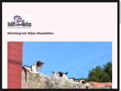 0005 10 56 9680 aangebod adoptie aldar artikel bell benut bestan beur bied biedt bijdrag blijv blijvend castratie castrer categorieen chipp collecter complet contact dank dek dierenspeciaalzak diver doel donateur donatiebuss eig eigenar elk en-of exclusief gebod gebruikt gedeelt geeft gehel gelukk geslacht geurend gezell gezocht goed goud grag groei hand handgemaakt help hen her hiervor huiskat hulp individuel informatie ingb innig jopie kat katjes kattenaccessoires kattenkolonies kattenled kattenspeeltjes kleinschal kleur knuffelkussentjes komt kost lat leeftijd lez locaties mak mand mandj material mogelijk mouw nam nieuw nl nod noodsituaties ondersteund ongeacht onvoorwaard onz organisatie pad par ras realiser rekeningnummer roemen roz s schuw situatie slaapmandjes small socialisatie sponsor stan stand steekt stichting supermarkt svp ten tichting tip toe toekomst toeter twee vak vandan verwilderd verzorgd voer vond voorbat voorkom voorlicht voorwaard vorm war we weeskit welk wij wijz wilt winkel winkeltj wordpres zamel zicht zoal zoek zoekgeraakt zomar zwerfkit òns
