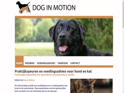 +31615834344 2015 2026 64342115 aandacht advies afdel afgestemd afrond allergieen arnhem basis beantwoord begeleid behaald behoeft beid beslot best biedt bijzonder contact contactformulier copyright darmproblem denk deskund dienst dier dierenasiel diploma doet dog doginmotion.nl dogvision duidelijk e e-mail e-mailadres echt een eenvoud eetlust eigenar en en/of ervar eventuel focus frederik fysiek gan gebaseerd gedrag gedragsproblem gedragstherapeut gedragstherapie geeft gehad gemotiveerd gericht geschikt geur gewerkt gewrichtsproblem gezamen gezond grag hbo hbo-opleid hom hond hondeneigenar hondengedrag ieder individuel info@doginmotion.nl inplann instructeur jarenlang jeuk jouw kat kennismak klacht kleinschal krijg kun kunt kvk kynologisch labrador lat leefstijl leeftijd leert les lev lever licham liet mag mail mailadres man manier mee menselijk mental momentel monique motion motiveerd nam nem neuswerk nier nr onafhank ondersteun ontlast ontstan opleid opmerk opnem organisatie overtu passie past per person personel plek praktijk praktijkspeur prestatiedruk ras retriever rust s sam samenkom samenwerk situaties slecht specialisaties specialiser speur speurhondeninstructeur speurles speurless spor tariev telefonisch telefoonnummer terecht terechtkom teun tijd tuss twee twijfel uitdag urineweg vak vanuit verbeter verdient verdiep verminderd verwacht via voeding voedingsadvies voedingsadviseur voer volg volgd vorm vrag vrijwilligerswerk waarbij waarom war wedstrijdgericht wel welk welkom welzijn werk will won zelhem zien zinvoll zoal