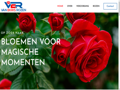 0654773103 17cm 19cm 2025 26 2811ps 40cm 55cm all allen beid beloft betover bewak biedt bloei bloem by collectie contact content copyright dark ekris elk erfenis expertis f facebok facebook-f fas gedij gedijt geduld generaties gerenommeerd groeiomstand grot hom info@vanekrisrozen.nl inhoudt innovatiev instagram intriger introductie jar juist kitty kleinbloem kleur kron kunt kwaliteit lat liefd link mat method mix mooi mooist nam netherland nodig ontdek onz oud particulier passie planning plantenpot pot prachtig presenteert prikkel product randenburgseweg red reeuwijk reis ros royal roz rozenkwek rozenvarieteit samenkom selectie skip snell soort stam stamroz strev teeltproces terwijl tessa to toewijd transformer tuin twee twitter uitstek uniek vak vakmanschap vanekrisroz variant varieteit verbluft vereist verhal verkenn verkop verkrijg verschill vertelt verzorg visueel voll waarin war we weeld welkom wereld yellow youtub zintuig zoek zorgvuld zowel