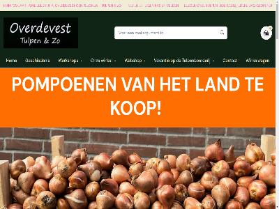 0 08.00 1 100 12 17 18.00 2 3 30 36 39 50 95 a accessoires afsprak all allerbest assortiment balkon begonn bekijk bericht bezoek bloemboll boerderij boll bollenmand breng buit chalet contact cookies daarom dag dagelijk del duin eig elk ervar familiebedrijf favoriet feest ga gastenverblijf gekweekt geopend gerust geschiedenis geteeld getrok goed grag groet gzn hel help hom ieder jar kas kes kijkj klacht klantenservic klein kleur kom kop kunt kwaliteit lag land leuk levenslang lever locatie mail mix naast najar narciss nem onz open openingstijd oud overdevest per pompoen prijs privacy product retourner ruil ruim shop soort stuk stur team telefon ton toont topkwaliteit tuin tulp tulpen-bloemboll tulpen-boerderij tulpenboerderij tulpenboll tulpencadeautjes tulpenkweker tulpenwinkel typ uur vakantie veld ver verder verhur verkop vind volg voorjaarsbloeier voorjaarsboll voorjar voorwaard vrijwel we webshop welkom wij winkel winkelwag workshop zien zoekt zon zwart