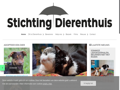 -53 0009 1332 14.00 14.15 16 16.00 171 2010 2022 2023 2024 2026 209 330 34 3592 41 51 6512389 810565857 91 adopter adoptie afsprak allen almer anbi anton asieldier bank beginn begon begrijp bekijk beleid beperkt besmet bewoner bezoek bezoekdata bied binnenlop blijvend bovenstaand bv chronisch contact daarna daaronder davie dier dierennoodhulp dierenthuis doel doner een elton en/of facebok februari film fiv fiv-virus foto gat gehandicapt gehoud goed groen hag help herplaats hom hond huis info@dierenthuis.nl ingb instagram jar kadeweg kat kater kido klik kom kunt kvk laatst leeftijd les leuk liefdesverhal liep lnv maatschappij mailtj mak mei mener minimum ministerie mogelijk nieuw nieuwsbrief nl22 november ontvang onz opvang oud pass pijn pony prachtig privacybeleid pur rolstoelhond rond rondleid roz rsin s sam schrijft sind sommig start stichting stond thuis tiktok tuss ubn uur vall verhal verwilderd vimeo vind virus volg voorwaard wij wijk wilt wintermaand won woont wreedheid xavier zaterdag ziek zwart/witte zwerfkat